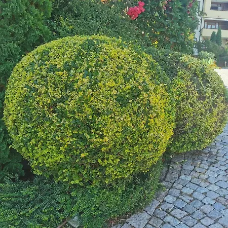 Garden Of Eden Panorama * 圣弗拉斯