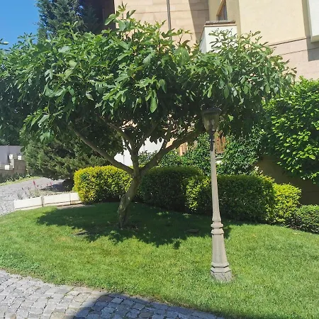 Garden Of Eden Panorama 圣弗拉斯